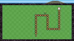 Tortoise Trail gameplay